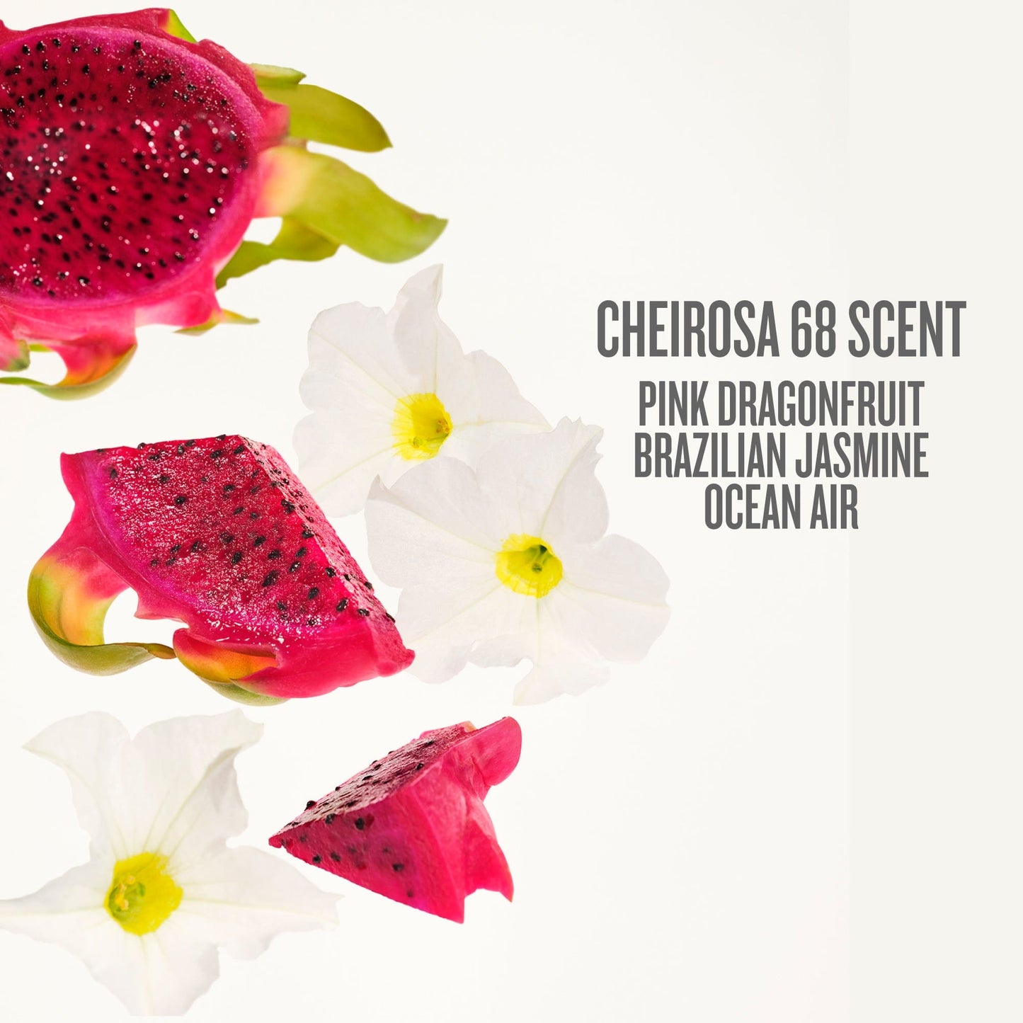 Sol de Janeiro Beija Flor™ Elasti-Cream 240ml